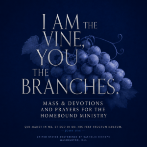 I am the vine